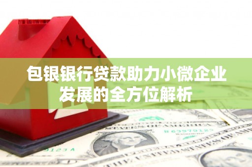 成武包银银行贷款助力小微企业发展的全方位解析