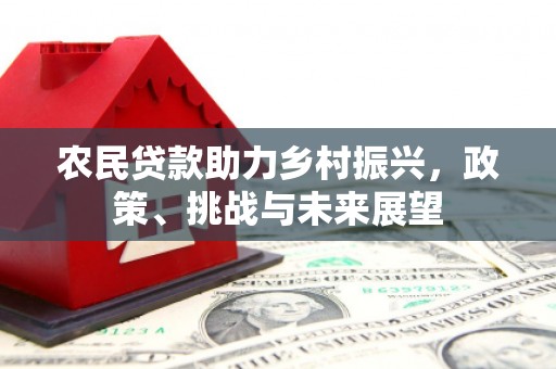 成武农民贷款助力乡村振兴，政策、挑战与未来展望
