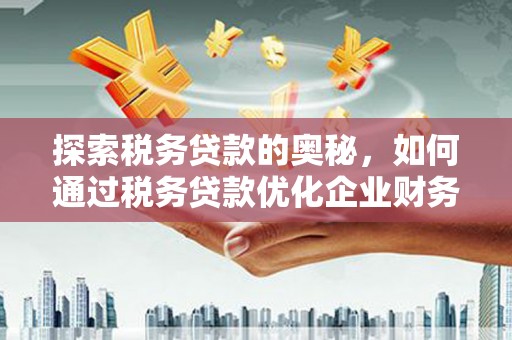 成武探索税务贷款的奥秘，如何通过税务贷款优化企业财务