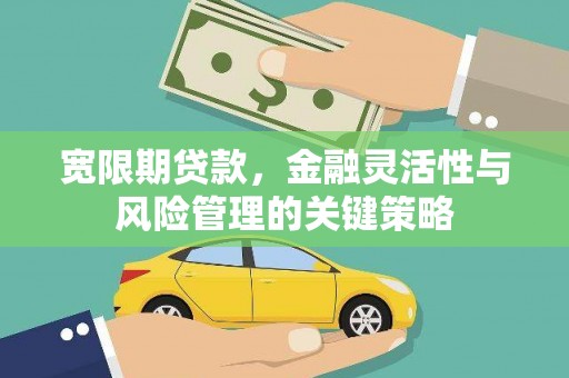 成武宽限期贷款，金融灵活性与风险管理的关键策略