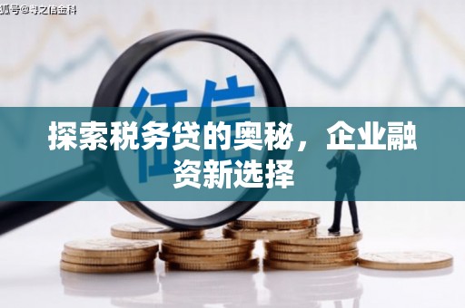 成武探索税务贷的奥秘，企业融资新选择