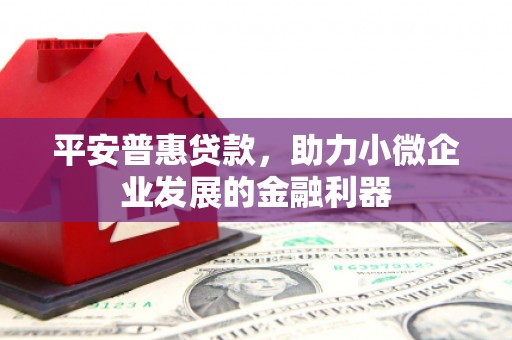成武平安普惠贷款，助力小微企业发展的金融利器