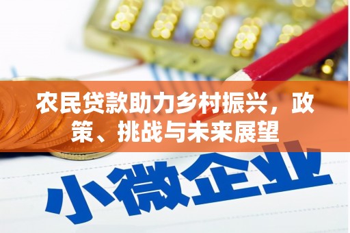 成武农民贷款助力乡村振兴，政策、挑战与未来展望