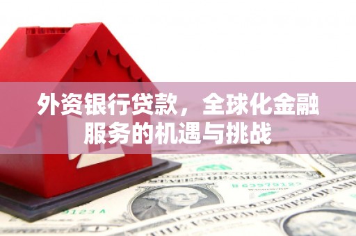 成武外资银行贷款，全球化金融服务的机遇与挑战