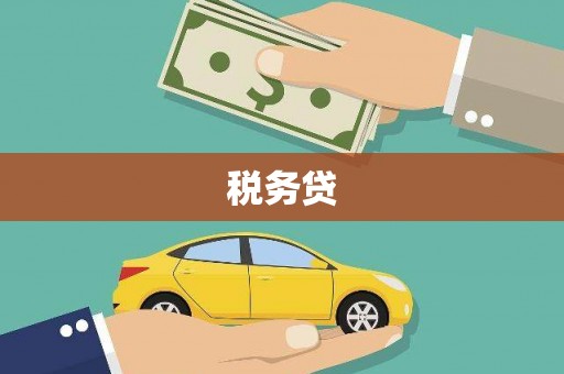 成武税务贷