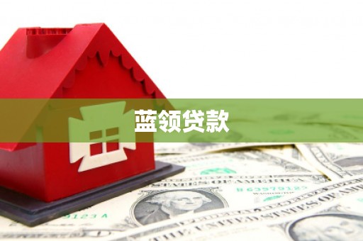 成武蓝领贷款