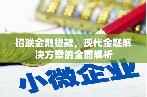 成武招联金融贷款，现代金融解决方案的全面解析