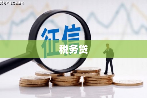成武税务贷