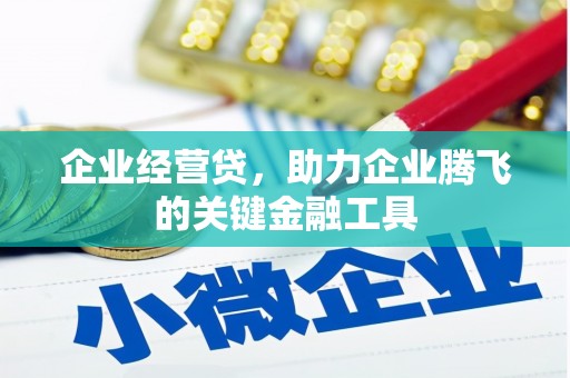 成武企业经营贷，助力企业腾飞的关键金融工具