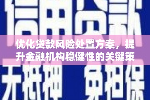 成武优化贷款风险处置方案，提升金融机构稳健性的关键策略