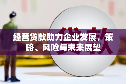 成武经营贷款助力企业发展，策略、风险与未来展望