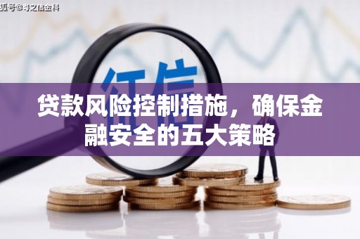 成武贷款风险控制措施，确保金融安全的五大策略