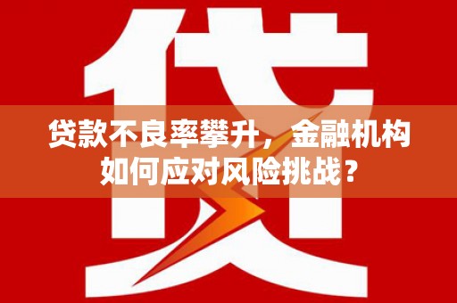 成武贷款不良率攀升，金融机构如何应对风险挑战？