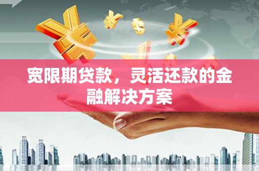 成武宽限期贷款，灵活还款的金融解决方案