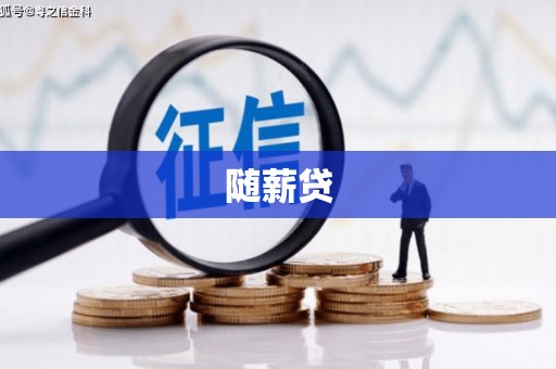 成武随薪贷