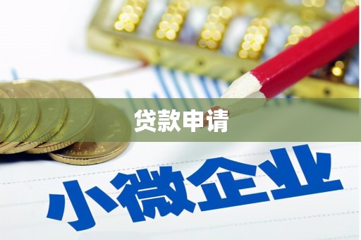成武贷款申请