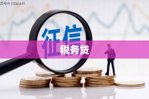 成武税务贷