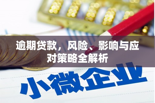 成武逾期贷款，风险、影响与应对策略全解析