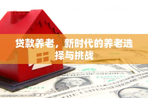 成武贷款养老，新时代的养老选择与挑战