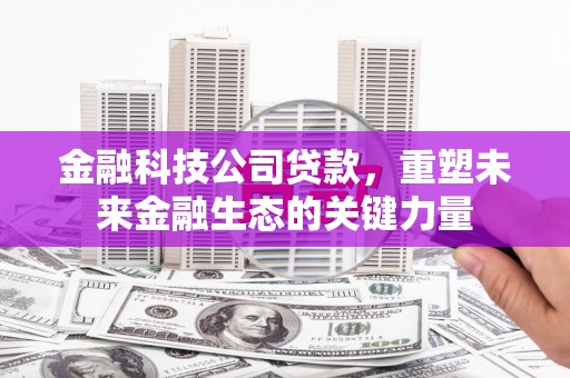 成武金融科技公司贷款，重塑未来金融生态的关键力量