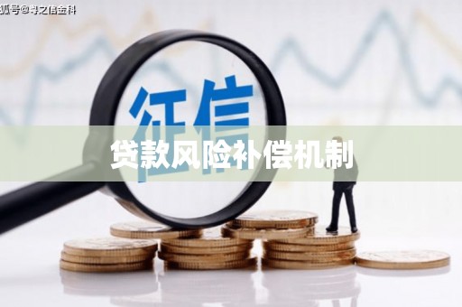成武贷款风险补偿机制