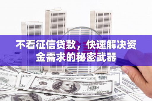 成武不看征信贷款，快速解决资金需求的秘密武器