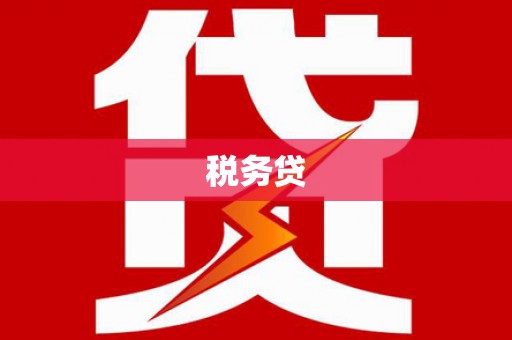成武税务贷