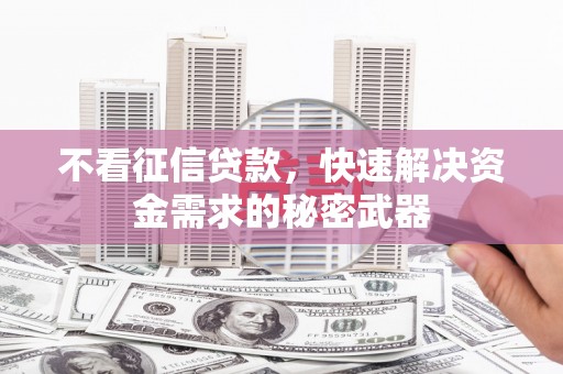 成武不看征信贷款，快速解决资金需求的秘密武器