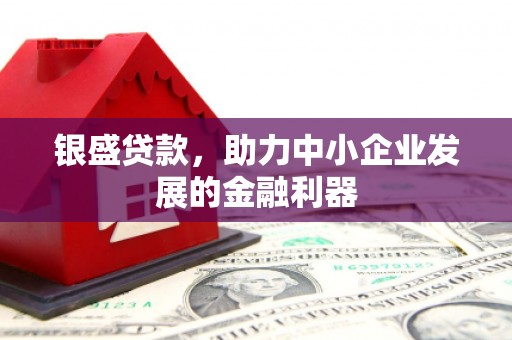 成武银盛贷款，助力中小企业发展的金融利器