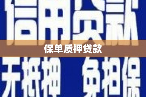 成武保单质押贷款