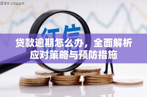 成武贷款逾期怎么办，全面解析应对策略与预防措施