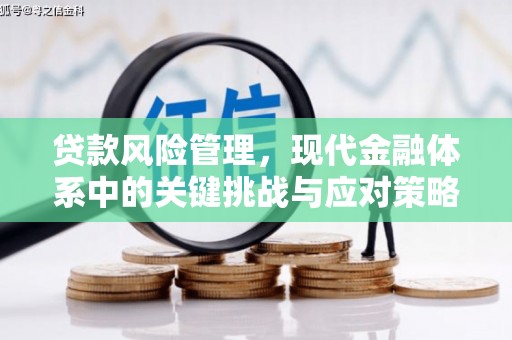 成武贷款风险管理，现代金融体系中的关键挑战与应对策略