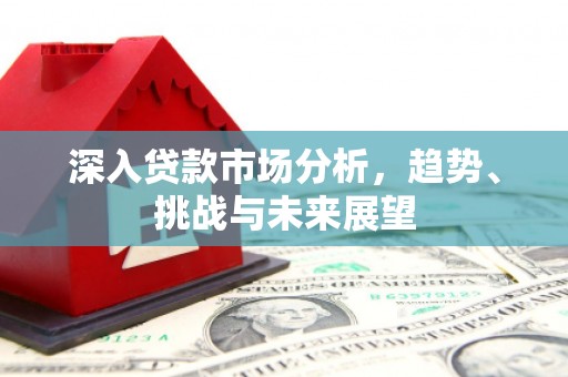 成武深入贷款市场分析，趋势、挑战与未来展望
