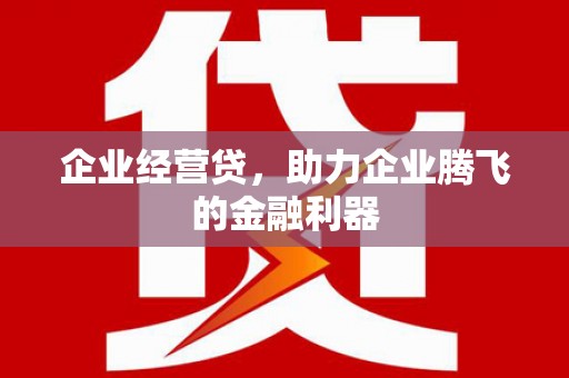 成武企业经营贷，助力企业腾飞的金融利器