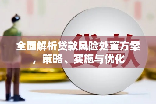 成武全面解析贷款风险处置方案，策略、实施与优化