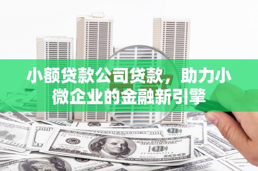 成武小额贷款公司贷款，助力小微企业的金融新引擎
