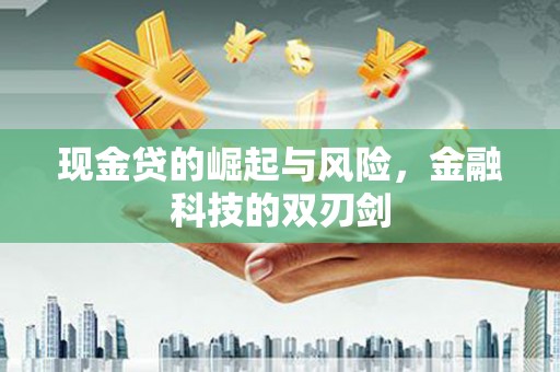 成武现金贷的崛起与风险，金融科技的双刃剑