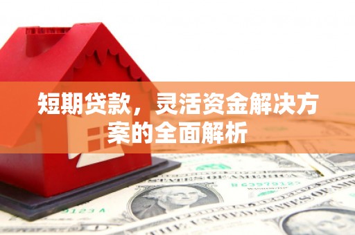 成武短期贷款，灵活资金解决方案的全面解析