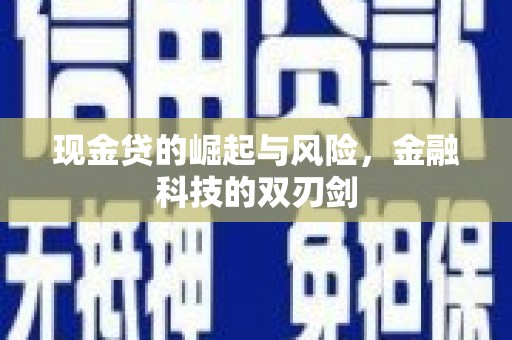 成武现金贷的崛起与风险，金融科技的双刃剑