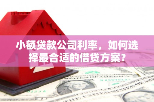 成武小额贷款公司利率，如何选择最合适的借贷方案？