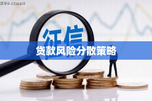 成武贷款风险分散策略