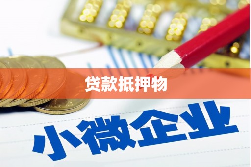 成武贷款抵押物