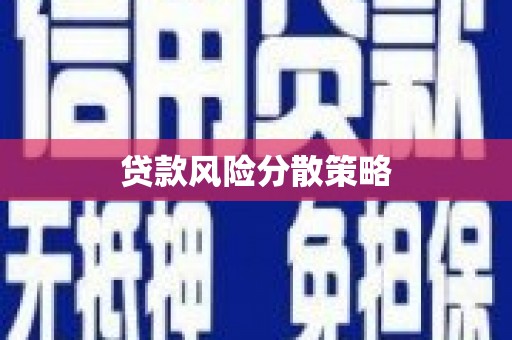 成武贷款风险分散策略