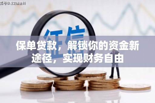 成武保单贷款，解锁你的资金新途径，实现财务自由