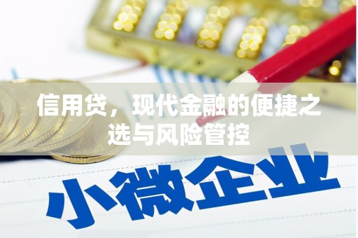成武信用贷，现代金融的便捷之选与风险管控