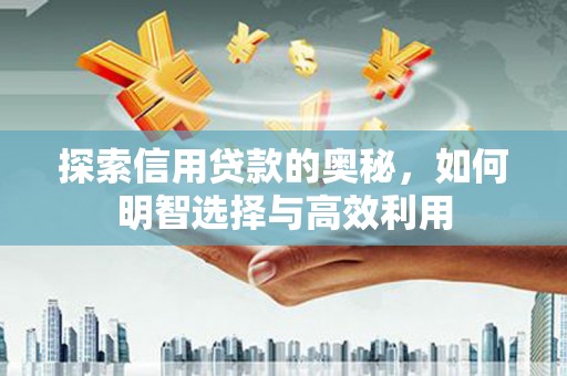 成武探索信用贷款的奥秘，如何明智选择与高效利用
