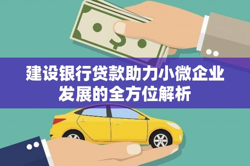 成武建设银行贷款助力小微企业发展的全方位解析