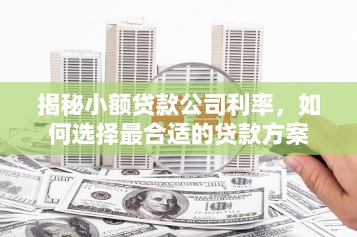 成武揭秘小额贷款公司利率，如何选择最合适的贷款方案
