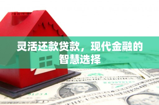 成武灵活还款贷款，现代金融的智慧选择