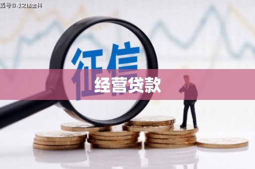 成武经营贷款